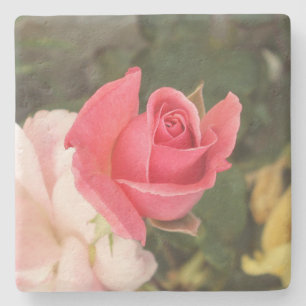 Spirande rosa ros underlägg sten