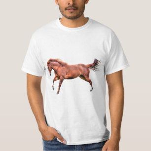 Spirated Red Dun Horse Running Cantering Spela Tee
