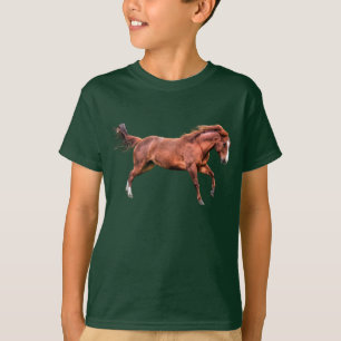 Spirated Red Dun Horse Running Cantering Spela Tee