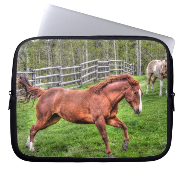 Spirated Red Dun Horse Running på Ranch Laptop Sleeve (Framsidan)