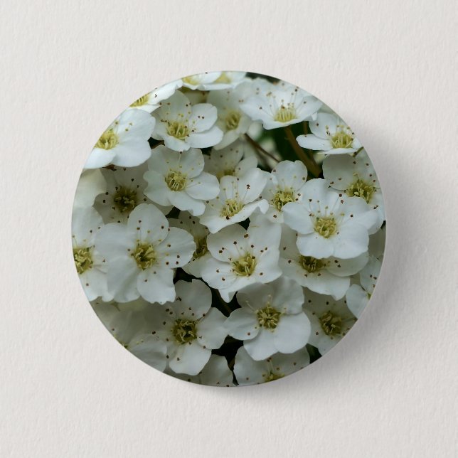 Spirea Arguta Badge Knapp (Framsida)