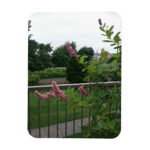 Spirea magnet