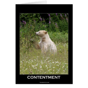 "Spirit Bear"-gåvor Hälsningskort