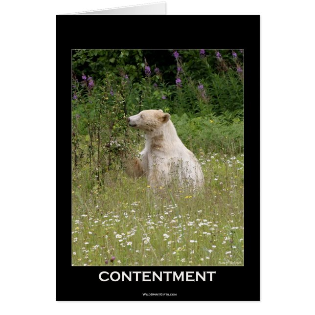 Spirit Bear Gifts Hälsningskort (Framsidan)