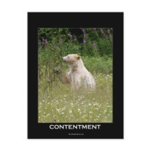 Spirit Bear Gifts