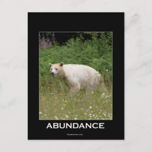 Spirit Bear Gifts Vykort