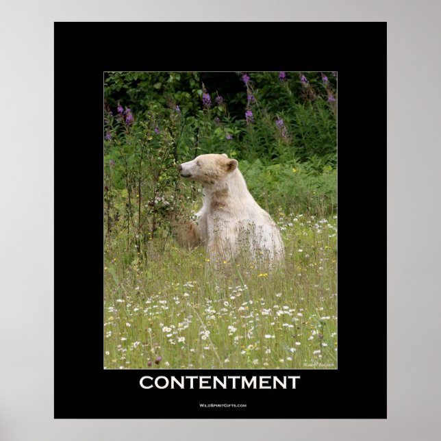 Spirit Bear Motivational Poster (Framsidan)