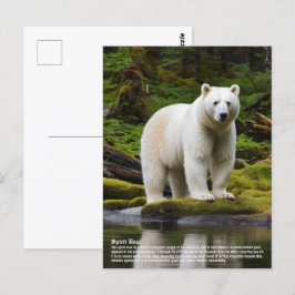 Spirit Bear Vykort