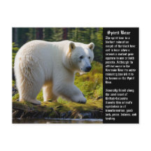 Spirit Bear-vykort