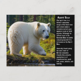 Spirit Bear-vykort Helg Vykort