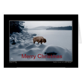 Spirit Buffalo Före Sjö - julkort Hälsningskort
