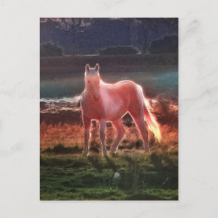 Spirit Dream Horse Vykort
