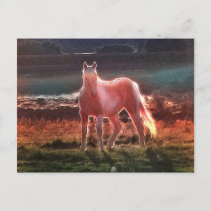 Spirit Dream Horse Vykort