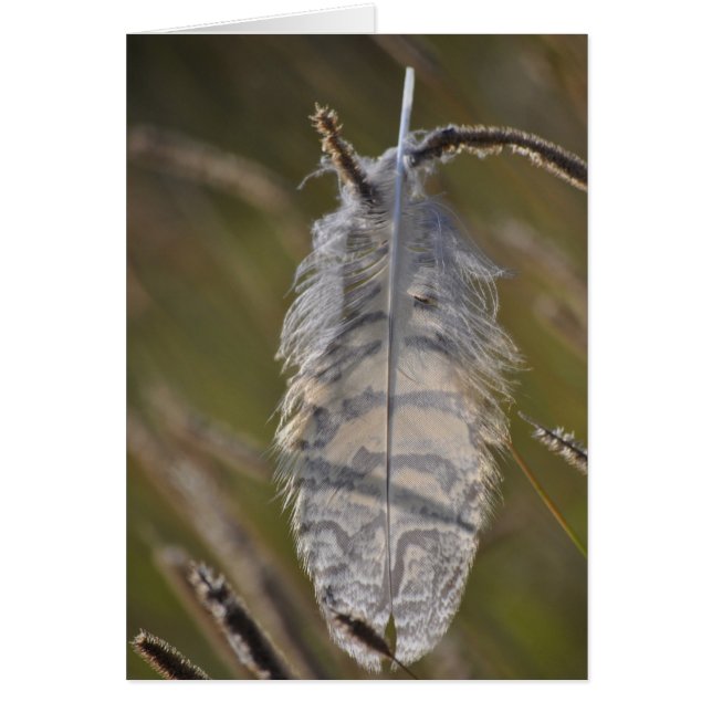 Spirit Feather Everyday Hälsningskort (Framsidan)
