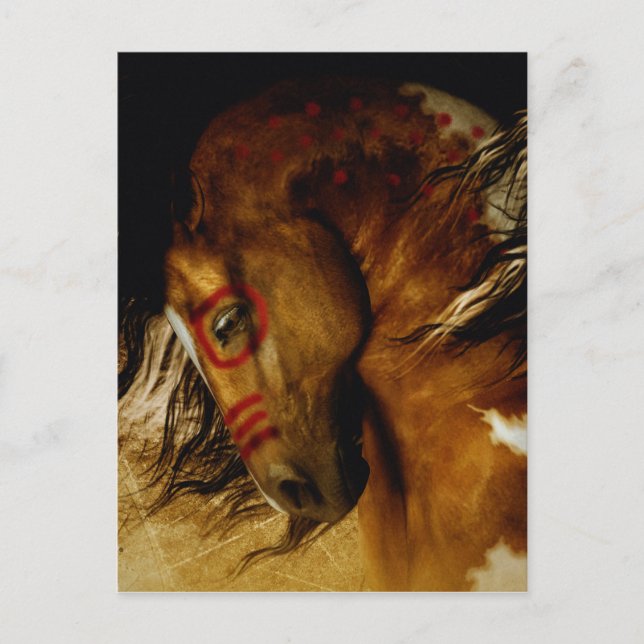 Spirit Horse Vykort (Framsida)