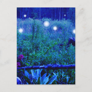 Spirit Ljus Blue Night Marshy Meadow Orbs Vykort