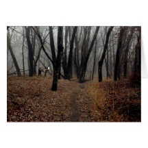 Spirit Pony i ett Shrouded Wood Card