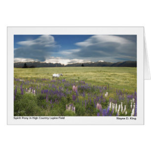 Spirit Pony i High Land Lupine Fält Hälsningskort