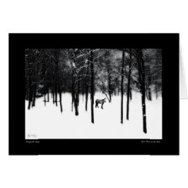 Spirit Pony i Mist Card Hälsningskort