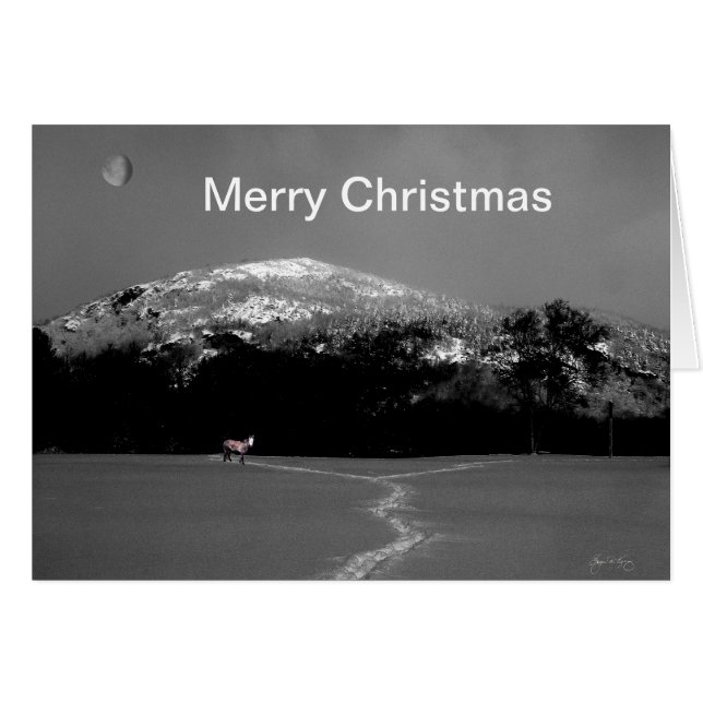 Spirit Pony under Gibbous Måne-julkort Hälsningskort (Framsidan Horizontal)