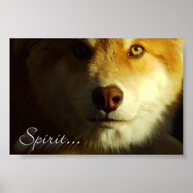 Spirit Poster (Framsidan)