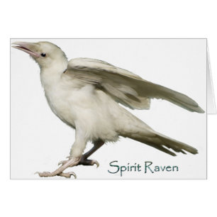 Spirit Raven II Series Hälsningskort