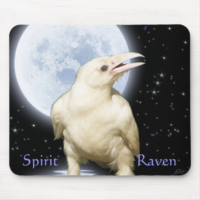 SPIRIT RAVEN Wildlife Fantasy Art Musmatta (Framsidan)