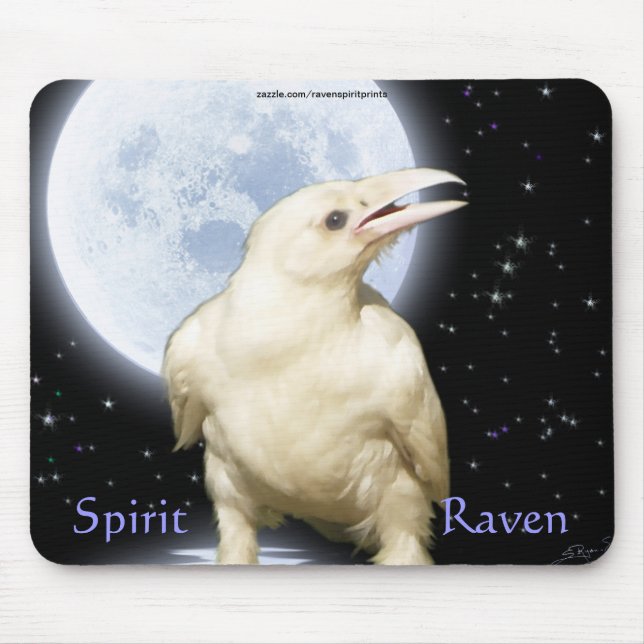 SPIRIT RAVEN Wildlife Fantasy Art Musmatta (Framsidan)