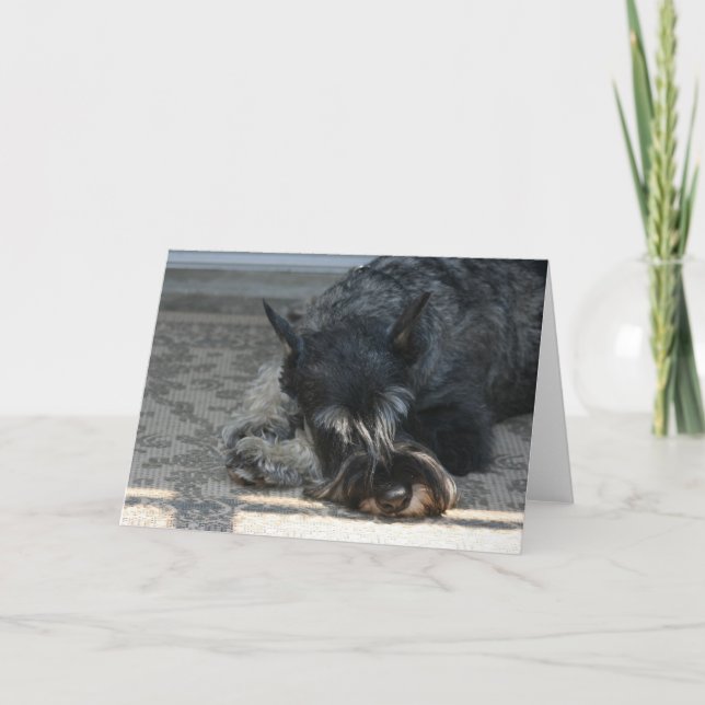 "Spirit" Standard Schnauzer Photo Greeting Card Kort (Framsida)