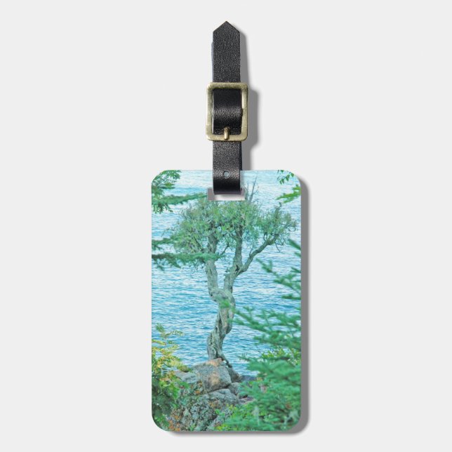 Spirit Träd Sjö Superior Easy ID Personligt ID Bagagebricka (Vertikal Framsida)