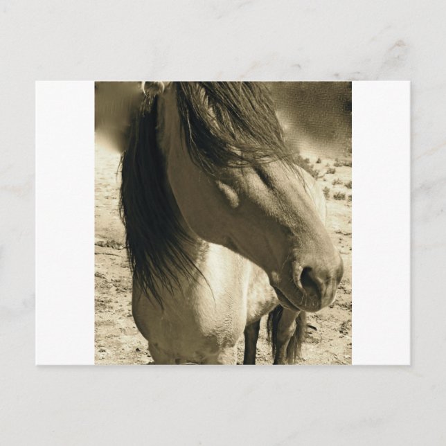 Spirit Vykort (Framsida)