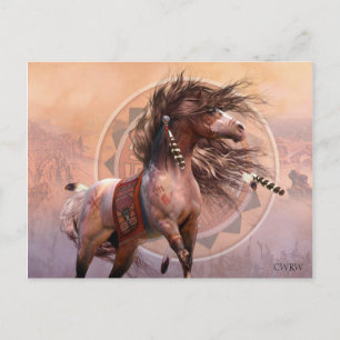 Spirit Warrior-vykort Vykort