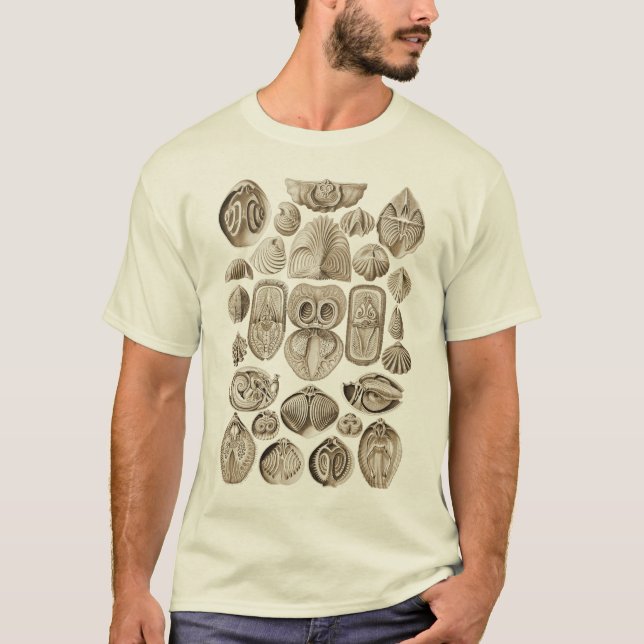 Spirobranchia Tee Shirt (Framsida)