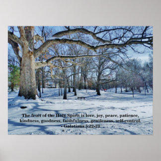 SPIRTENS FRUKT POSTER