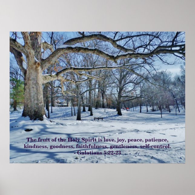 SPIRTENS FRUKT POSTER (Framsidan)