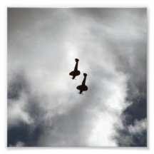 Spitfire Silhouette