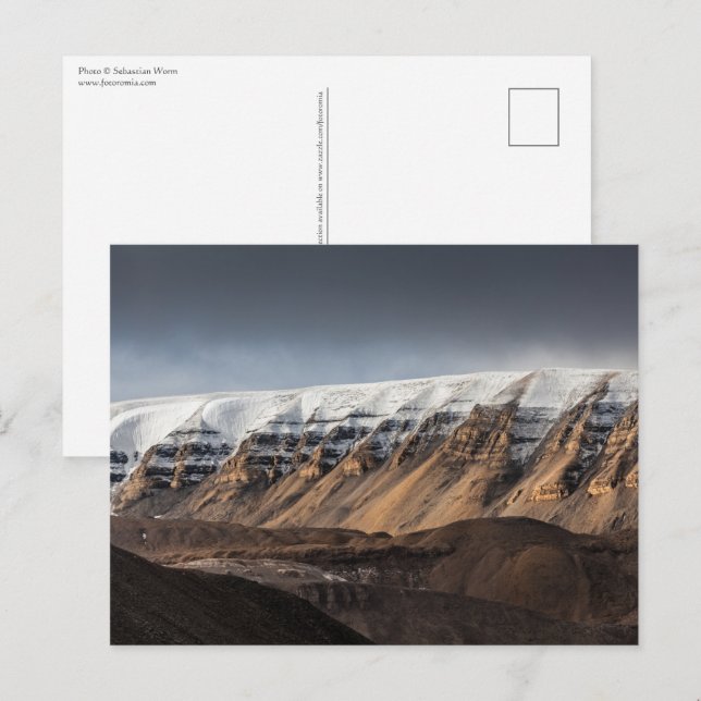 Spitsbergen Svalbard liggande foto Vykort (Fram/baksida)