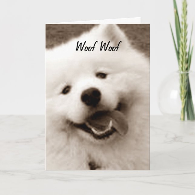 SPITZ ÖNSKEMÅL GRATTIS PÅ FÖDELSEDAGEN "FRÅN GRUPP KORT (Framsida)