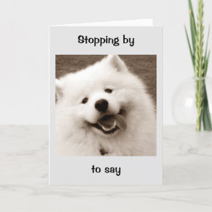 SPITZ TAR TID FRÅN SITT ARBETE FÖR BIRTHDAY KORT