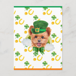 Spitzpoo Shamrock St. Patricks Day Helg Vykort