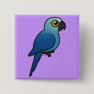 Spixs Macaw Knapp