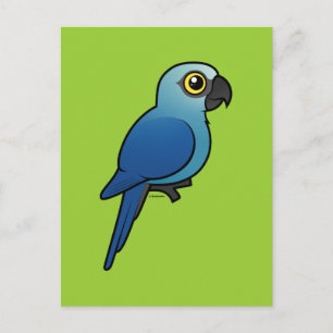 Spix's Macaw Vykort