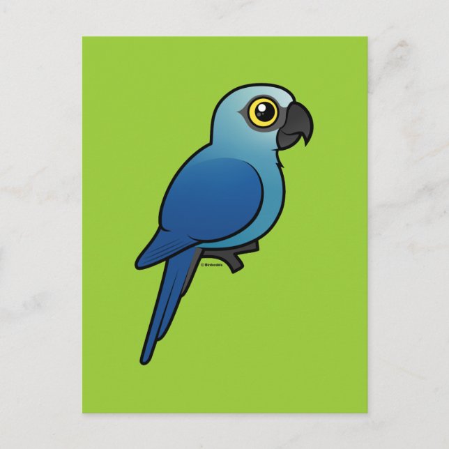 Spix's Macaw Vykort (Framsida)