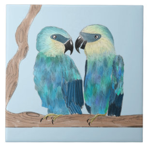 Spix's Macaws på en keramisk platta - (B) Kakelplatta