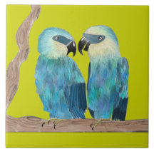 Spix's Macaws på en keramisk platta - (G)