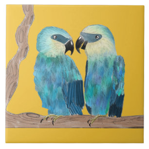 Spix's Macaws på en keramisk platta - (Y) Kakelplatta