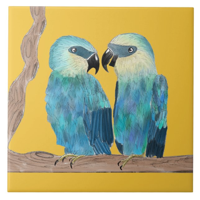 Spix's Macaws på en keramisk platta - (Y) Kakelplatta (Framsidan)