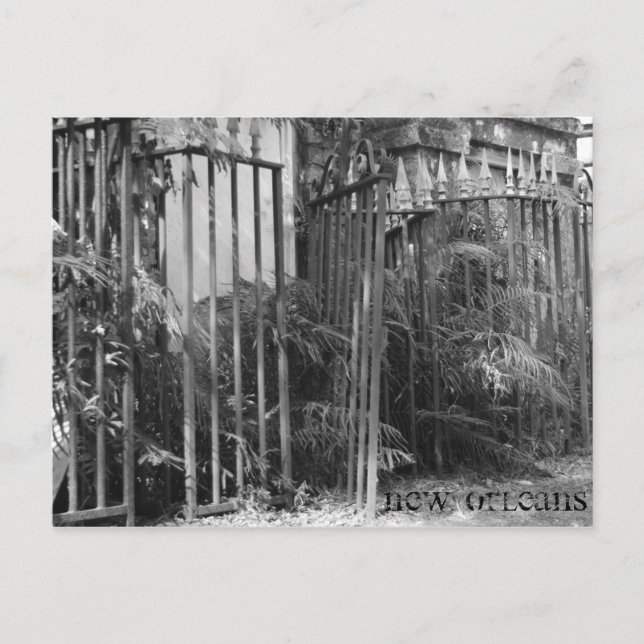 Spjälat staket vykort (Framsida)