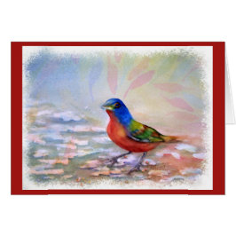 SPLASHING ROBIN RED BREAST HÄLSNINGSKORT