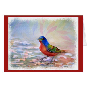 SPLASHING ROBIN RED BREAST HÄLSNINGSKORT